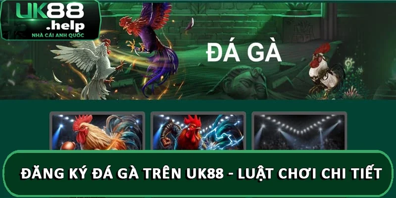 Đăng ký đá gà trên UK88 - Luật chơi chi tiết