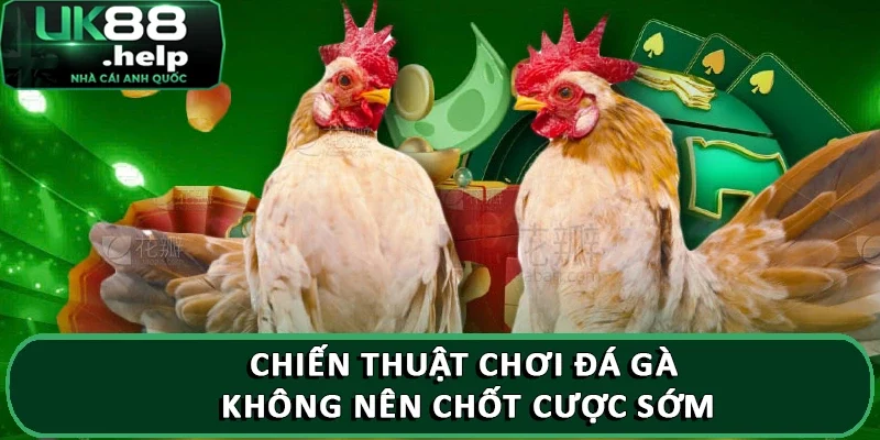 Chiến thuật chơi đá gà không nên chốt cược sớm